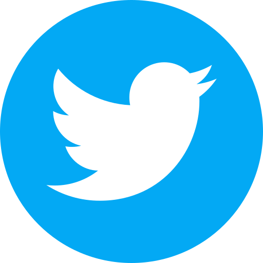 Twitter (X)